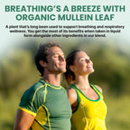 5-in-1 Mullein Drops for Lungs and Bronchial - Respiratory Lung Health Support with Mullen Leaf Extract for Lungs - Mullein Tincture with Elderberry, Echinacea and Ginger Root (120 Servings) (4-pack)