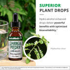 NutraMedix Chanca Piedra Stone Breaker Drops - Liquid Supplement for Kidney and Liver Health, Gallbladder Support & Urinary System Support (1oz / 30ml)