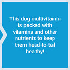 Life Extension Dog Multivitamin & Probiotics - Dog Food Supplement for Overall Health, Digestion and Immune Support - Vitamins, Probiotic Blend, Colostrum (Bovine) - 90 Soft Chews