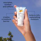 Sky Organics Organic Petroleum-free Jelly, Multi-Purpose Skin Care Balm with Organic Shea Butter, Coconut Oil, Olive Oil & Vitamin E, Moisturizing Lip Balm & Moisturizer for Dry Skin, 2.5 Oz