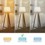 BORT ST58/ST19 Vintage LED Edison Bulbs, 6W Equivalent 60W Filament Light Bulbs, Dimmable 700LM, E26 Base LED Bulbs, Clear Plastic (Daylight White, 12 Pack)