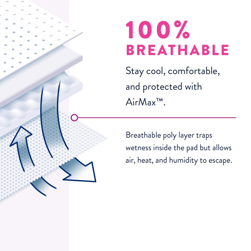 Prevail Proven | Large Pull-Up | Women's Incontinence Protective Underwear | Maximum Absorbency | 72 Count