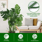 Yhtpouqe 12 Pack Plant Support Stakes, Plant Stakes for Indoor and Outdoor Plants. 39.37inch Plant Sticks with Extension Poles, Plant Clips, Plant Ties for Potted Monstera Plants, Climbing Plants