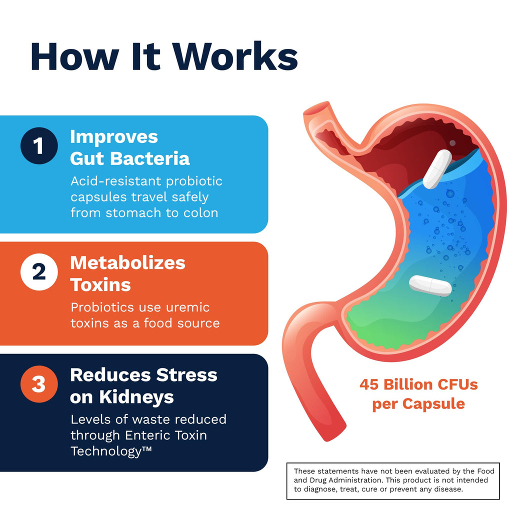 Renadyl Kidney Probiotic Supplement | Urea, Creatinine, & Uric Acid Support | 45 Billion CFUs | Clinically Tested, Non-GMO, & Made in USA, 60 Capsules (1 Bottle, 1 Month Supply)