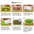 4 Layers Sprout Trays with Extra Strength Plastic Shelf Soil-Free Healthy Wheatgrass Seeds Grower & Storage Trays for Garden Home Office