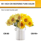 Hizashi E12 Candelabra LED Light Bulb 40 Watt Chandelier Light Bulbs Dimmable 5000K Daylight, B10 LED Candelabra Bulbs, 90+CRI, 4W, 450LM, Candle Light Bulbs, UL Listed, 12 Pack