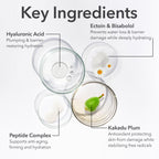 Dr Dennis Gross DermInfusions Fill + Repair Eye Cream: Hydrating & Brightening Treatment for Dark Circles, Fine Lines & Wrinkles, Firms & Smooths 360° Eye Area, 0.5 Oz