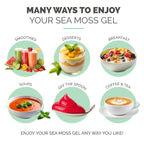 EverSmith Organics - Wildcrafted Irish Sea Moss Gel | Made in USA | Rich in Nutrients | Sea Moss Gel Raw | Jarred Vegetables & Fruits | Raspberry (1 Jar)