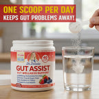 Doctor Danielle Leaky Gut Support Powder | L-Glutamine Gut Lining Formula | Gut Assist by Dr. Danielles, Berry