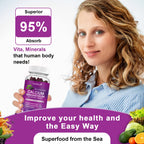 Calcium Magnesium Zinc Gummies with High Absorption Magnesium Glycinate, Potassium -Plant Calcium Supplement w/ D3 & Sea Moss for Bone, Muscles, Calm Mood & Sleep Support- Kids & Adults (2 Pack)
