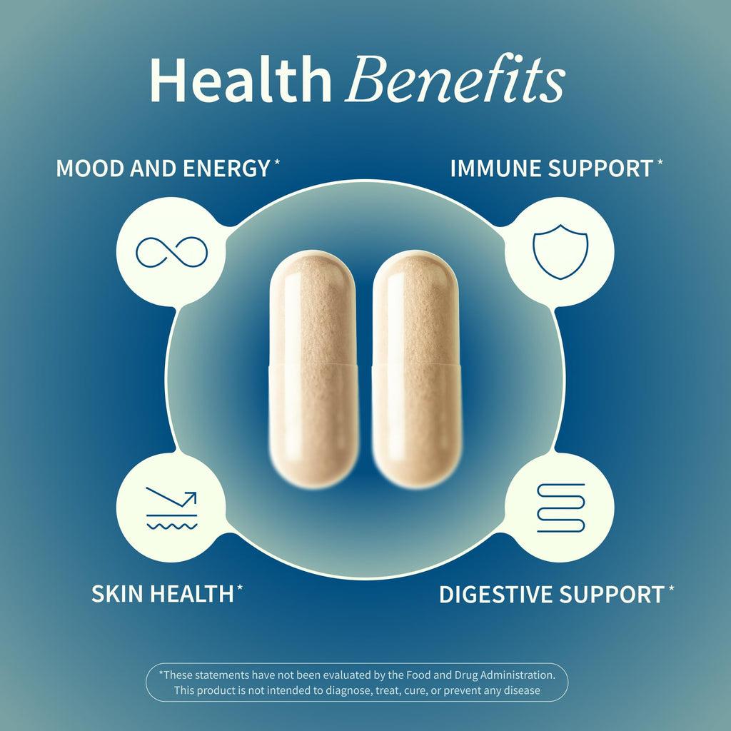 Snap Supplements Irish Sea Moss with Bladderwrack, Burdock Root & Iodine – Natural Sea Moss Supplement to Support Gut Health, Energy & Healthy-Looking Skin, 60 Vegan Capsules (1 Month Supply)