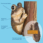 Bits and Pieces Keep Quiet Frog Tree Peeker - Adorable Tree Sculpture - Garden Decoration - Yard Art