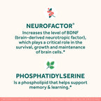 NEURIVA Original Brain Supplement for Memory, Focus & Concentration + Learning & Accuracy with Clinically Tested Nootropics Phosphatidylserine and Neurofactor, Strawberry Flavor, 50 Gummies