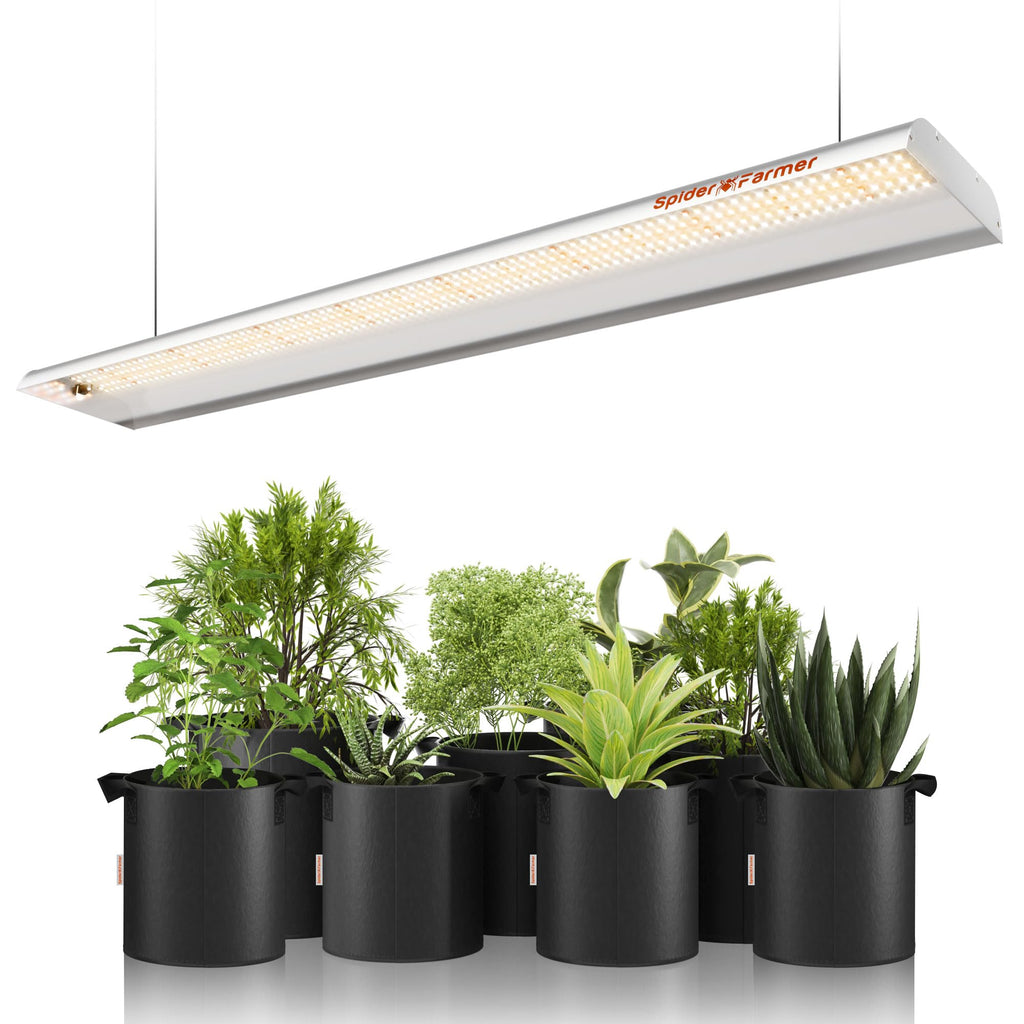 Spider Farmer SF600 LED Grow Light, 72 Watt Plant Growing Lamp for 2x4 ft