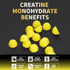 Nutravita NSF Certified Creatine Gummy - Creatine Monohydrate Gummies for Men & Women-5g of Creatine Monohydrate per Serving - Sugar Free,Vegan, Passion Fruit Flavor, 120 Count