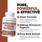 Immortal Herbs Africanum Pygeum 500mg, 25:1 Extract, 150 Pills, Extra Strength Pygeum Supplement for Men and Women, Non-GMO and Gluten-Free Bark Extract Capsules, 5 Months Supply