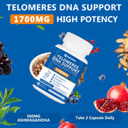 NICMIN Telomeres DNA Support - Anti Aging Supplement for DNA Repair, Cell Health & Stem Cell Support Max Absorption 60 Capsules