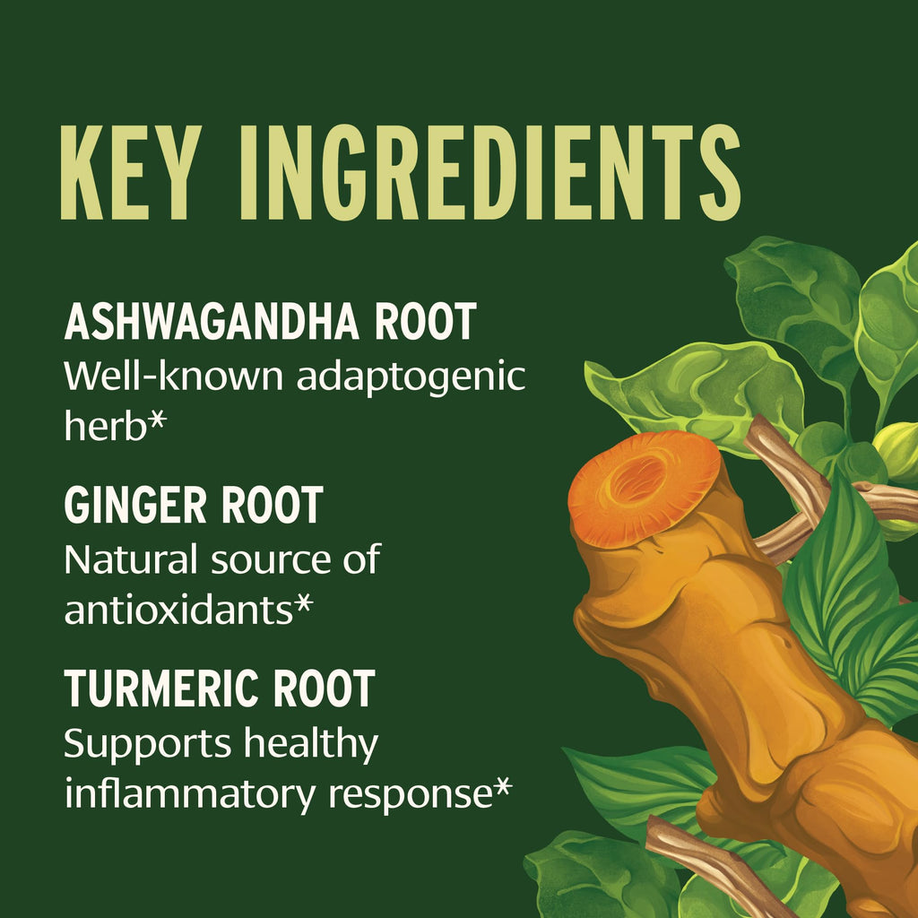 Banyan Botanicals I Travel Well Liquid Extract – Organic Fast-Acting Immune Support for Travel – with Ashwagandha and Ginger – 1 fl. oz. – Non GMO Sustainably Sourced Vegan