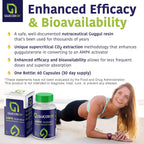 GlucodOX AMPK Activator Supplement – AMPK Enzyme, Metabolism Booster, Guggul Supplement for Body Management & Longevity – Vegan Metabolic Support - 30 Day Supply (60 Capsules)