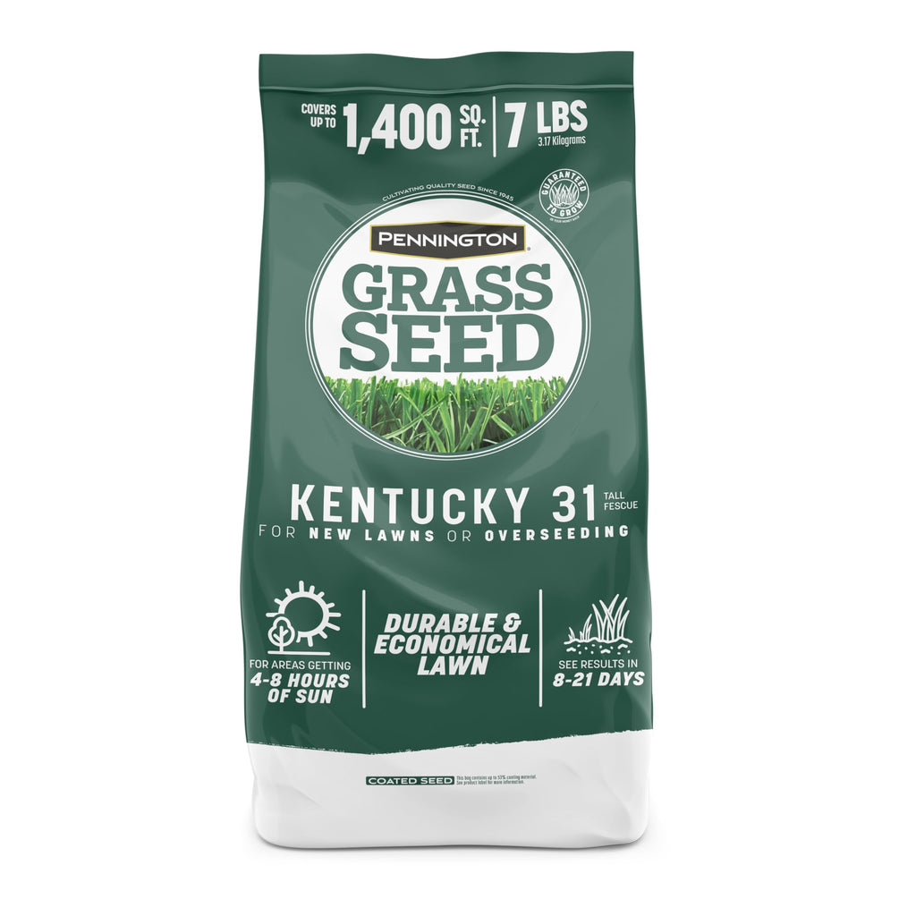 Pennington Kentucky 31 Tall Fescue Grass Seed, Drought-Resistant, 7 LB