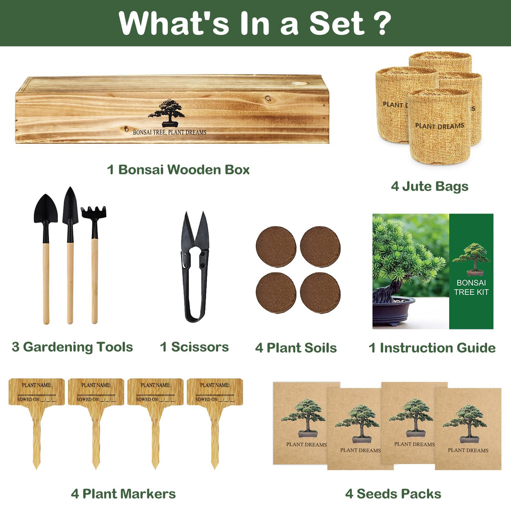 LUOJIBIE Bonsai Tree Kit, Complete Bonsai Starter Growing Kit, Christmas Birthday Gifts for Women Men Mom Dad Girls Boys, Gardening Gift for Plant Lovers, White Elephant Gifts for Adults