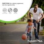 NaturesPlus Source of Life Garden Vitamin C - 60 Capsules - Immune System Support - USDA Certified Organic, Non-GMO, Vegan, Gluten Free - 30 Servings