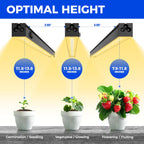 Barrina Grow Lights for Indoor Plant, T5 1FT Full Spectrum, Yellow, 4 Packs