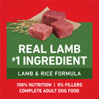 Purina ONE Lamb and Rice Dry Dog Food, 8 lb Bag