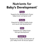 Theralogix TheraNatal Complete Prenatal Vitamin Supplement - 91-Day Supply - with DHA, Vitamin D3, Folate, Iodine, Choline, Iron, Vitamin B6 & More - NSF Certified - 182 Tablets & 91 Softgels