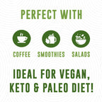 MCT Oil Organic - C10 C8 MCT Oil for Sustained Mental Energy & Focus Support - MCT Oil Organic For Coffee, Smoothies, & More - Palm Free Vegan Keto & Paleo Friendly 16 Fl Oz - Non-GMO - Aceite De Coco