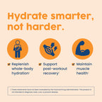 NativePath Native Hydrate, Zero Sugar, Electrolytes Powder with BCAAs, Tangerine Hydration, Keto & Paleo Friendly, 30 Servings
