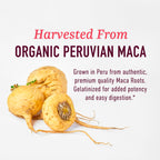 Organic Maca Root Capsules for Women | Peruvian Maca 2250MG Extra Strength | Red, Black & Yellow Root Powder with Black Pepper | Herbal Supplement to Support Energy & Hormone Balance | 120 Ct