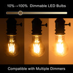 runquiz 2700K Warm Light Edison Bulbs, Vintage Warm Yellow A19 Edison Bulb, Dimmable Amber Led Soft Light Bulbs, Old Style Retro Filament Bulb, 4 Watt, 6 Pack, E26 Base