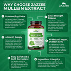 Zazzee Extra Strength Mullein 10:1 Extract, 3000 mg Strength, 120 Vegan Capsules, 4 Month Supply, Certified Kosher, Lung and Respiratory Support, 100% Pure Leaf Powder, Non-GMO, Made in The USA