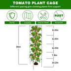 LAKNUAL 6 Packs Tomato Cages for Garden, 12"×12"×56" Plant Support Cage with Different Spacing, Green Metal Trellis for Climbing Plants Like Cucumber, Flowers