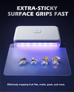 LFSYS 2 Pcs Fruit Fly Traps for Indoors (2 Device+10 Refills) Plug in UV Light Fly Trap for Gnats, Fruit Flies, Flying Insects Sleek Design Indoor Safe