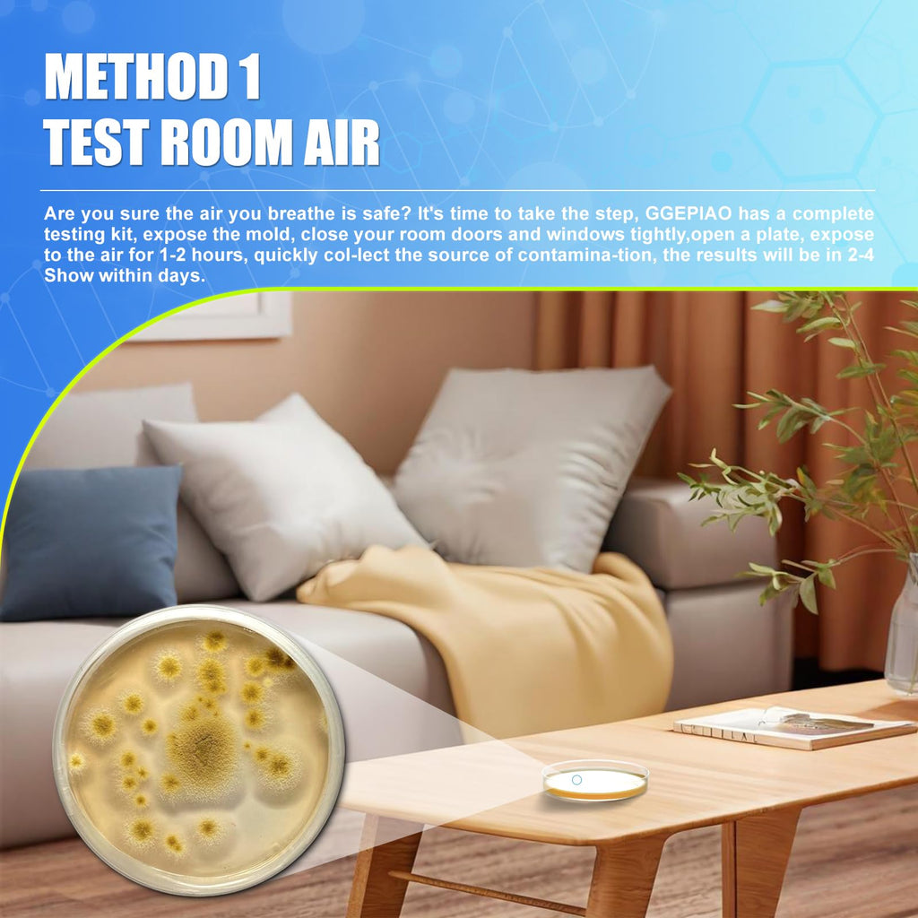 Mold Test Kit for Home,14 Simple Detection Tests,Test HVAC System,Home Surfaces, Indoor Air Quality Testing,DIY Mold Detector,Includes Detailed Mold Identification Guide,Black Mold Testing kit