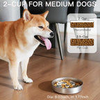 Feedoo Slow Feeder Dog Bowl-2Cups for Medium Breeds, Double Wall Food-Grade Stainless Steel, Heavy Duty with Non-Slip Rubber Base, Puzzle Maze Bowl to Slow Down Eating