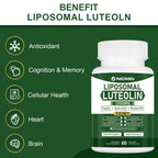NICMIN 1000MG Liposomal Luteolin, Maximum Absorption, Potent Luteolin Supplement 120 Capsules