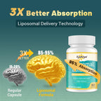 Kynderynl Liposomal Luteolin 200mg – Luteolin Supplement & Brain Supplement for Memory and Focus with Apigenin & L-Theanine – Non-GMO, Gluten-Free, 60 Softgels