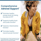 Researched Nutritionals Energy Multi-Plex - Adrenal Health, Energy Support & Cognitive Supplement with 14 Researched Ingredients - Vegan Energy Supplements (90 Capsules)