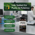 NatureBell PQQ with CoQ10-240 Capsules - 40mg Active PQQ with 10mg Coenzyme Q10 - Cellular Energy & Cognitive Function Support - Antioxidant Nutrients for Heart & Brain Health*