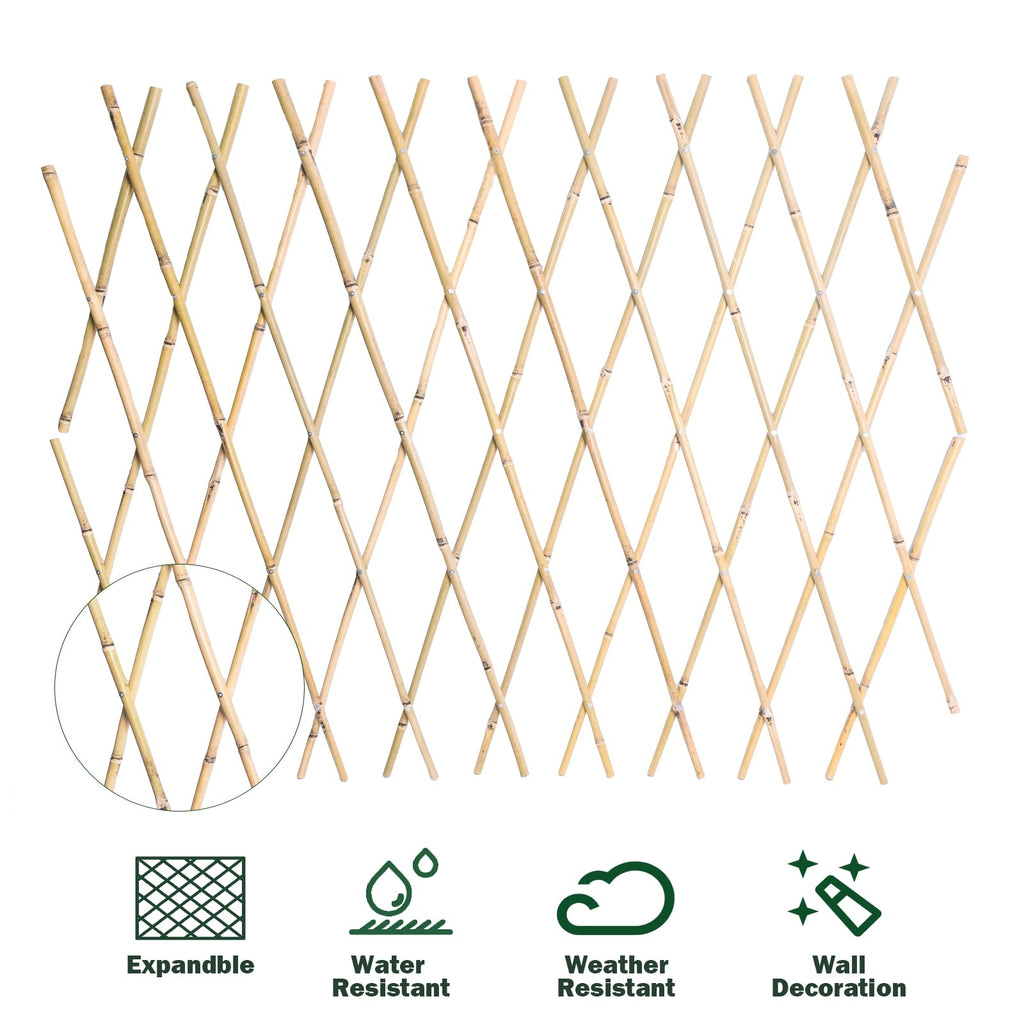 Jollybower 48x72 Inch Expandable Bamboo Trellis, Garden Lattice Fence, Expandable Fence for Climbing Plants, Vines & Ivy,Pet & Dog Barrier（Pack of 1）