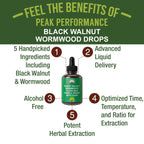Wormwood Black Walnut Clove Cleanse for Humans. Elimination Detox + Intestinal Support Liquid Tincture Supplement for Adults and Kids. with Artichoke and Chanca Piedra for Additional Benefits