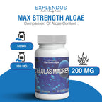 Celulas Madres- Stem Cell Supplement for Anti-Aging & Longevity, Non-GMO, Gluten-Free, Vegetarian Capsules, 60 Count (4)