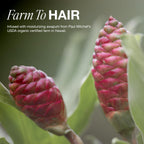 Paul Mitchell Awapuhi Shampoo, Balances Moisture + Adds Shine, For All Hair Types, Especially Fine + Static-Prone Hair, 16.9 fl. oz.