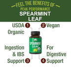 Peak Performance USDA Organic Spearmint Capsules. Organic Vegan Spearmint Leaf Pills for Digestive Support, Ingestion, and More. USA Tested Supplement for Women and Men.
