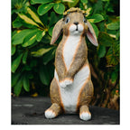 Lonyin Rabbit Garden Statue, Bunny Animal Figurines Indoor Outdoor Statues