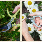 Modern Sprout Hand Pruners+Shears Set w/Blister -Gardening Tools-Chartreuse