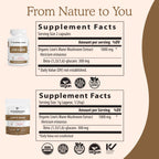 Real Mushrooms Lion’s Mane Powder - Organic Lions Mane Mushroom Extract for Cognitive Function & Immune Support - Brain Supplements for Memory and Focus - Vegan Mushroom Supplement, 150 Servings
